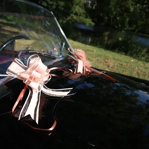 Noeud Voiture Mariage – Rose poudré – Lot de 5 – Image 2